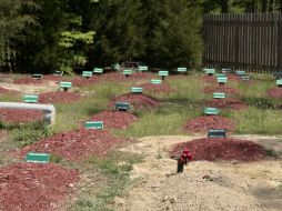 Aspecto del cementerio donde se enterró a Tamerlan Tsarnaev. AFP /