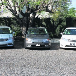 Por gusto o por moda