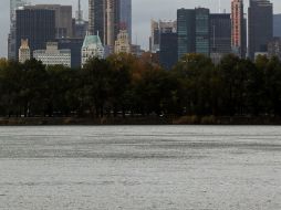 Según las autoridades neoyorquinas, el pez “Cabeza de Serpiente” también posee extraños hábitos de caza y es capaz de comer de todo. ARCHIVO /