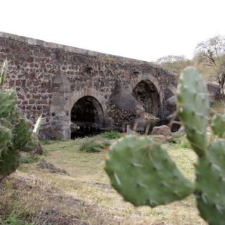 Apuestan por el ecoturismo en Parque Puente de Calderón