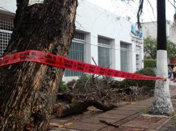 Alertarán a la población sobre  los peligros a los que se pueden enfrentar durante las precipitaciones en dichos lugares. ARCHIVO /