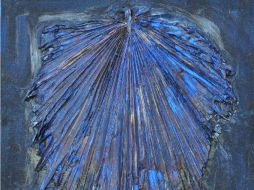 Para el pintor Darío Basso la naturaleza ha sido uno sus motivos de inspiración. ESPECIAL /