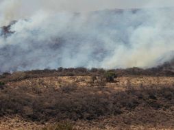 El comité estará al pendiente y continuará combatiendo los incendios que se den en la entidad. ARCHIVO /