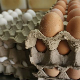 Anuncian aumento de importaciones de pollo y huevo