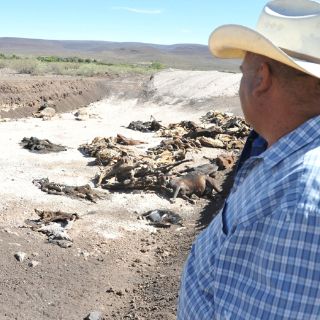 Severa falta de agua en 43 municipios