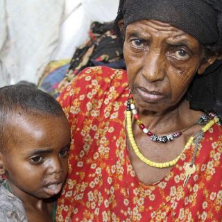 Pese a abundancia de alimentos, 870 millones padecen hambre: FAO