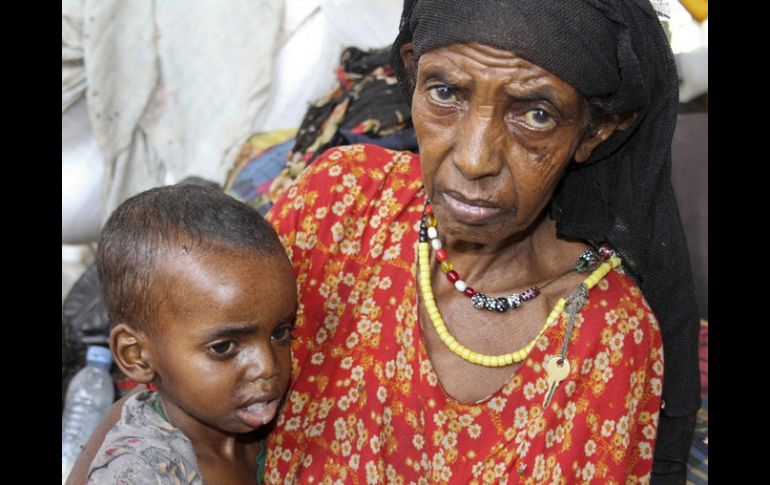 Alrededor de 870 millones de personas en el mundo padecen hambre, según un funcionario de la FAO. ARCHIVO /