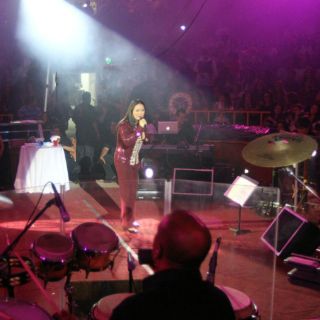 Confirman a Ana Gabriel para Viña del Mar