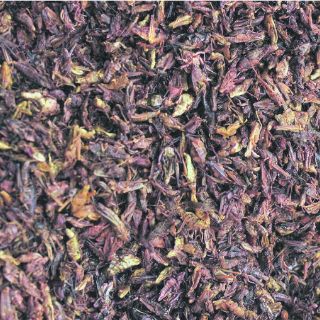 Apuesta la FAO por aprovechar potencial nutritivo de insectos