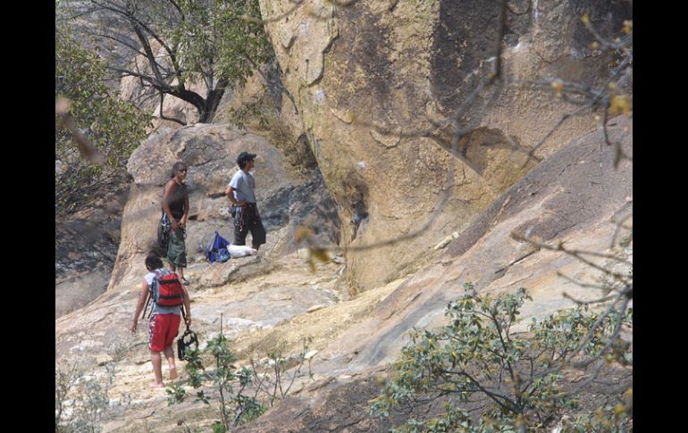 Actualmente sólo 21 elementos de la Policía Montada vigilan todas las zonas de bosque en Zapopan. ARCHIVO /