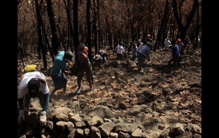 Los estudiantes deberán ser  originarios de áreas rurales, ejidos, comunidades forestales o indígenas. ARCHIVO /