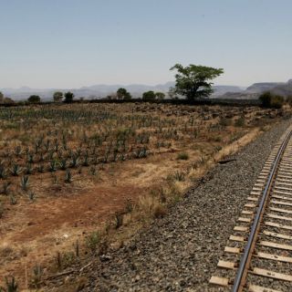 Crean iBook interactivo de la Ruta del Tequila