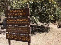 Consideran que la administración actual no tiene claras las atribuciones para los entes relacionados al manejo del Bosque. ARCHIVO /