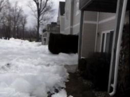 Un hecho inusual, que gracias al documento de video se puede demostrar que sucedió en realidad. ESPECIAL /