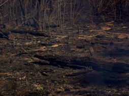 Se informa que los incendios de ayer en el Divisadero, en Tomatlan; y en Ayotitlán, en Cuautitlán, ya se encuentran extinguidos. ARCHIVO /