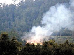 Los incendios serán combatidos por miembros del comité para hacer frente a este tipo de eventualidades. ARCHIVO /