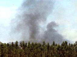 El primer reporte del incidente se recibe a las 12:47 horas tras lo que acude personal forestal para ayudar a combatirlo. ARCHIVO /