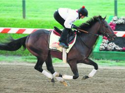 “Orb” entrena previo a la carrera en el Preakness Stakes de Baltimore. AFP /