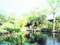 ENTRETENIMIENTO. En contacto con la naturaleza, en el centro vacacional de Oaxtepec.  /