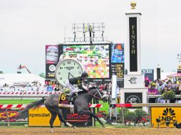 ''Oxbow'', con la monta del veterano Gary Stevens, cruza la línea de meta de la la edición 138 del Preakness Stakes en primer lugar. AP /