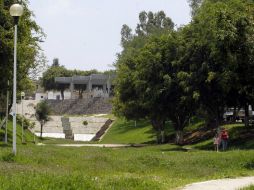 Hasta el momento se han retirado más de 164 árboles en riesgo. ARCHIVO /