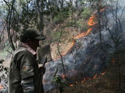 De los incendios activos uno se encuentra en Mazamitla y el otro en Gómez Farías. ARCHIVO /