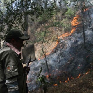De cuatro incendios, dos están activos