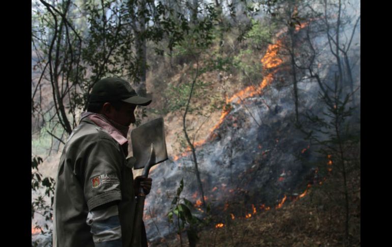 De los incendios activos uno se encuentra en Mazamitla y el otro en Gómez Farías. ARCHIVO /