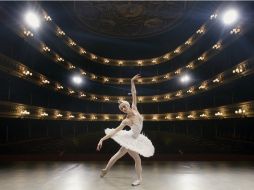 El evento pretende hacer evidentes los valores que la danza promueve en la vida de las personas. ARCHIVO /