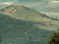 La reserva será sometida a un mecanismo de conservación del ecosistema y biodiversidad, pues cuenta con 509 diferentes especies vegetal ARCHIVO /