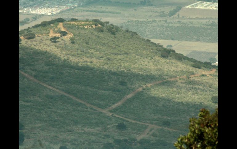 La reserva será sometida a un mecanismo de conservación del ecosistema y biodiversidad, pues cuenta con 509 diferentes especies vegetal ARCHIVO /