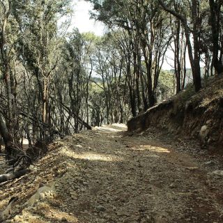 Vecinos recuerdan efectos por la ausencia de protección de Cerro Viejo