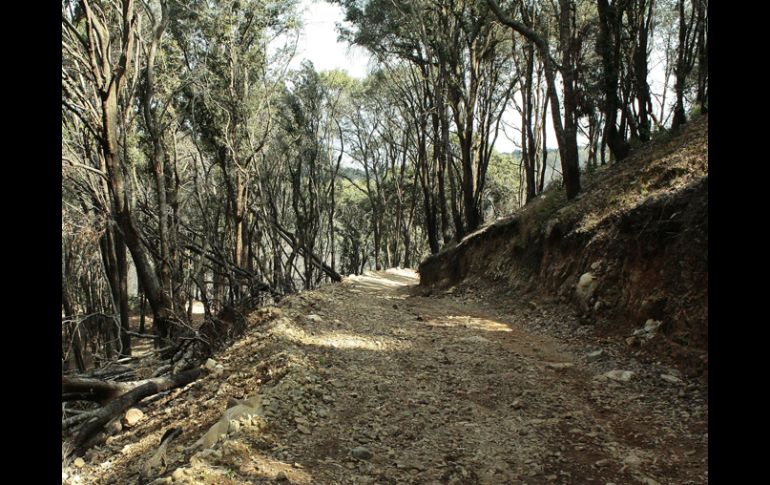 El 25 de junio de 2011, las fuertes lluvias ocasionaron un deslave que daño viviendas y calles de las zonas habitadas al cerro. ARCHIVO /