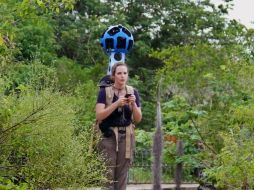 Este avance permitirá a los usuarios visitar virtualmente Galápagos sin estropear su frágil ecosistema. AP /