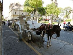 Los conductores de las calandrías tomarían un curso vial. ARCHIVO /