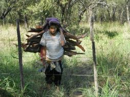 El uso de las estufas reducirá la emisión de gases de efecto invernadero, generados por la quema de leña. ARCHIVO /