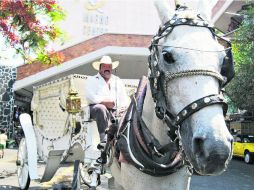 Un caballo remolca un carruaje en los alrededores del Mercado Libertad. EL INFORMADOR /