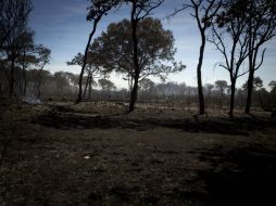 En su toma de protesta, Aristóteles Sandoval aseguró que La Primavera sería ejemplo del manejo de un Área Natural Protegida. ARCHIVO /