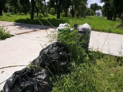 Vecinos piden mayor seguridad y atención a las áreas verdes de la colonia Jardines de la Paz. ARCHIVO /