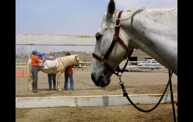 En promedio atienden 70 pacientes cada mes, las sesiones van de 15 a 30 minutos de acuerdo con la discapacidad. ARCHIVO /