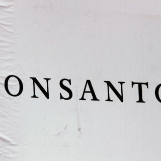 Ambientalistas costarricenses protestan contra Monsanto