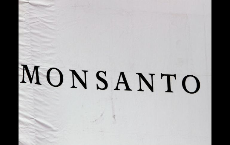 Los ambientalistas consideran que existe un vacío de información de Monsanto sobre los efectos de los cultivos transgénicos. AP /