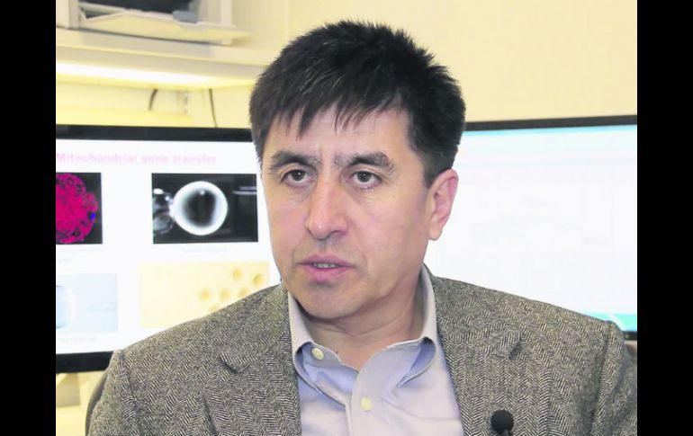 Proceso. ''Con fármacos se puede replicar el proceso embrionario''. ESPECIAL /