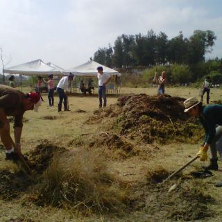 Preparan terreno para bosque urbano