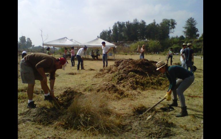 Se trató de la primera etapa para la creación del bosque urbano tomará cuatro domingos más.  /