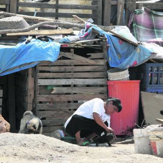 Programas sociales, insuficientes en el país