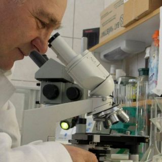 La UNAM desarrolla anticonceptivo masculino