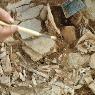 Hallan restos de primer caso de maltrato infantil documentado