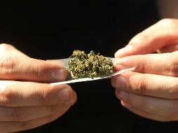 Proponen que impuestos sobre la mariguana se inviertan en construcción de escuelas o campañas para promover que no se consuma. ARCHIVO /