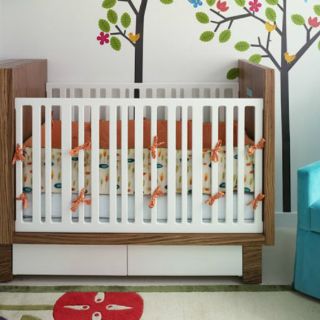 Nuevo integrante, nuevo espacio